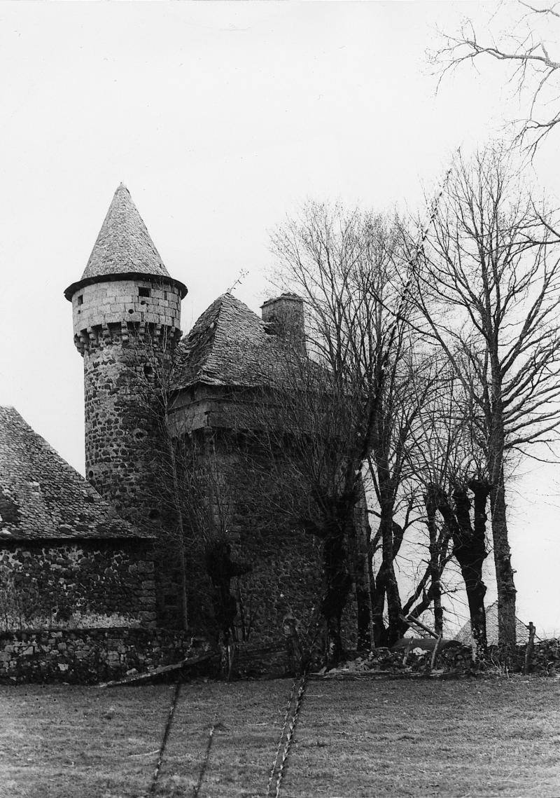 Château (castèl) de La Gardelle