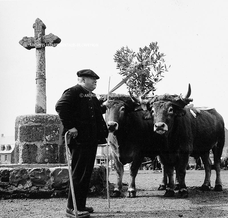  Paire de bovidés (parelh) de Pâques décorés devant croix (crotz) en pierre