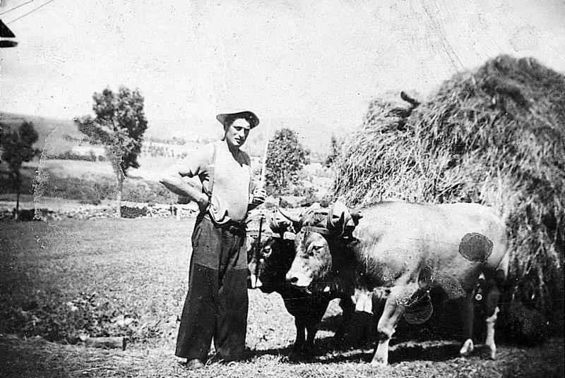 Temps de pause durant charroi (carreg) de foin avec paire de bovidés (parelh), aux Canals, 1948