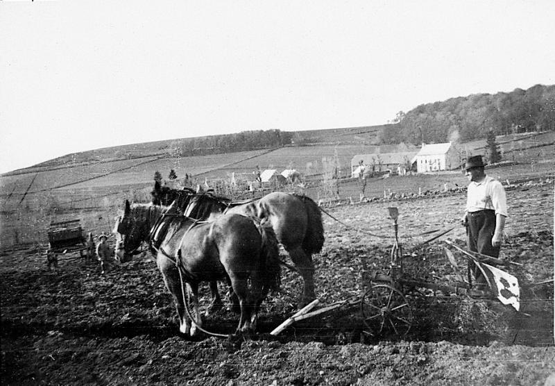  Temps de pause durant labour (laur, laurada) avec paire d'équidés (coble) et charrue Brabant, à Mouilhac, 1951