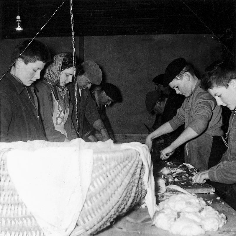 ​Abattage (masèl) du cochon (pòrc, tesson) : découpe au couteau de la chair à saucisse (salsissa), au Puech, 1961