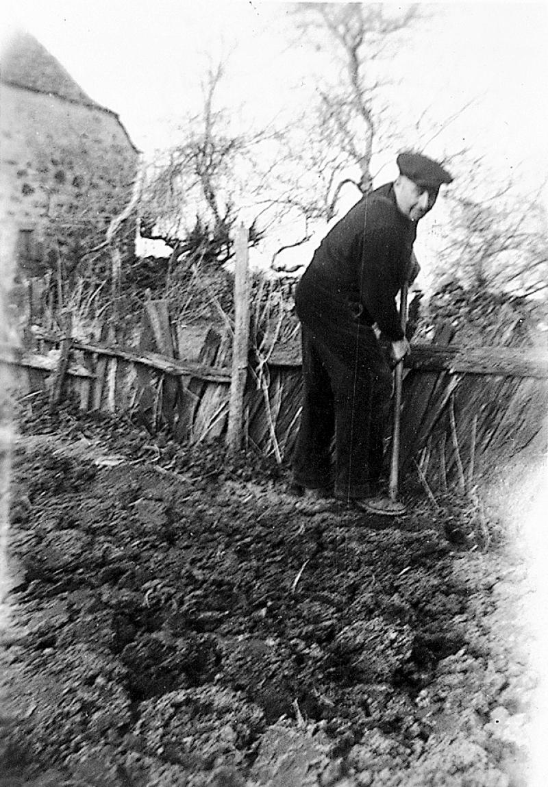 Homme  bêchant le jardin (òrt), à Crozillac, années 1960