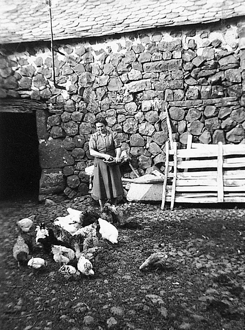 Femme donnant à manger aux poules (galinas, polas), à La Bessière