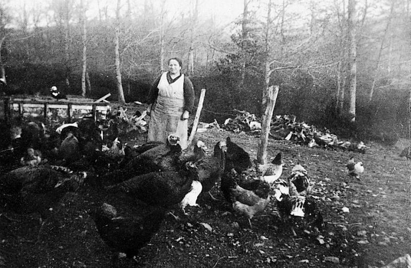 Femme au milieu de volaille (polalha), à La Gardelle, 1944-1945