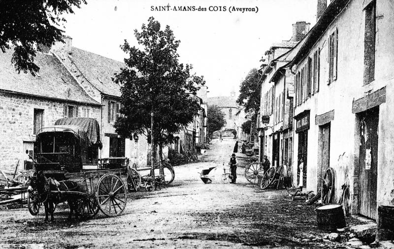 SAINT-AMANS-des COTS (Aveyron)