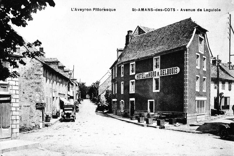 L'Aveyron Pittoresque St-AMANS-des-COTS - Avenue de Laguiole 