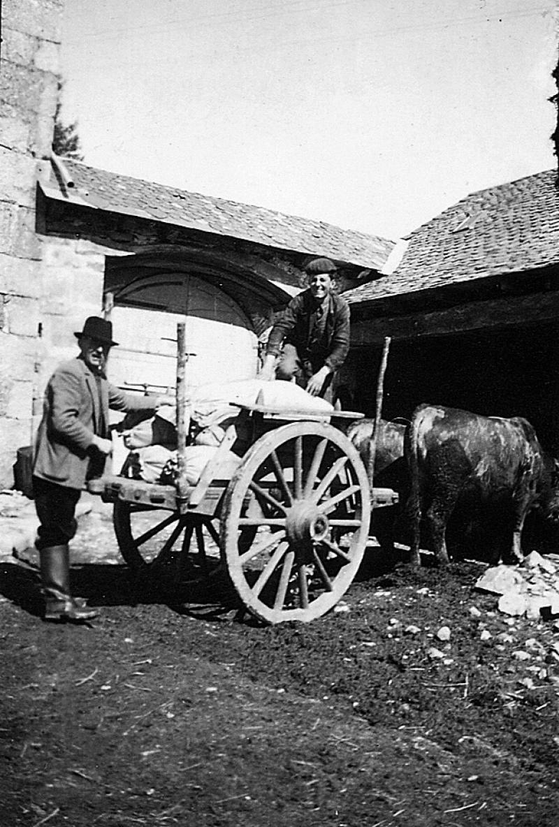 Deux hommes chargeant des sacs (sacas) sur un char (carri), paire de bovidés (parelh), départ pour le moulin, à La Borie, 1940