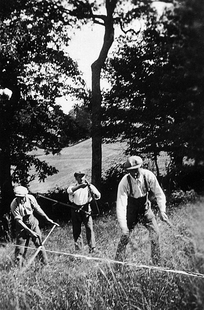 Fauchage manuel et homme aiguisant une faux (dalha), au pré de Lafon, 1932