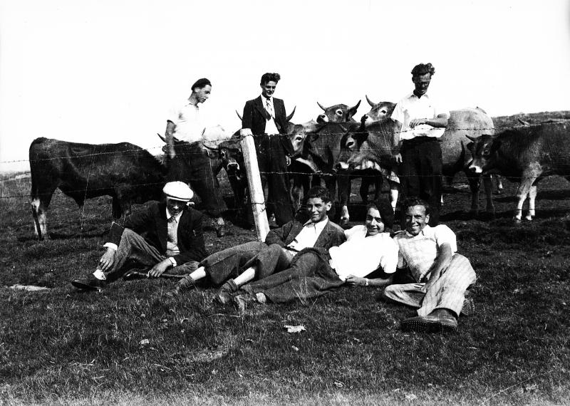 Jeunes hommes et troupeau de bovidés (vacada), à La Souque de Saint-Urcize (15), 1943
