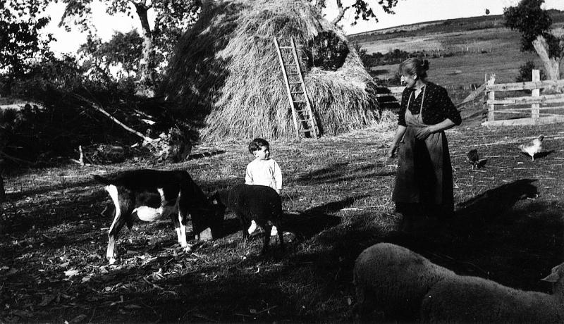 Femme et enfant gardant chèvre (cabra) et brebis (fedas), aux Bories, août 1950