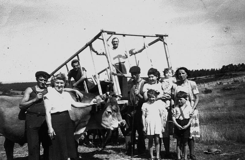 Famille devant paire de bovidés (parelh) et char-cage ou à claies (carri de cleda), à La Souque, 1950