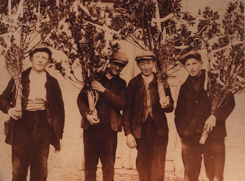 Quatre jeunes hommes portant branches (brancas, bròcas) fleuries et enrubannées ou mais, 1930