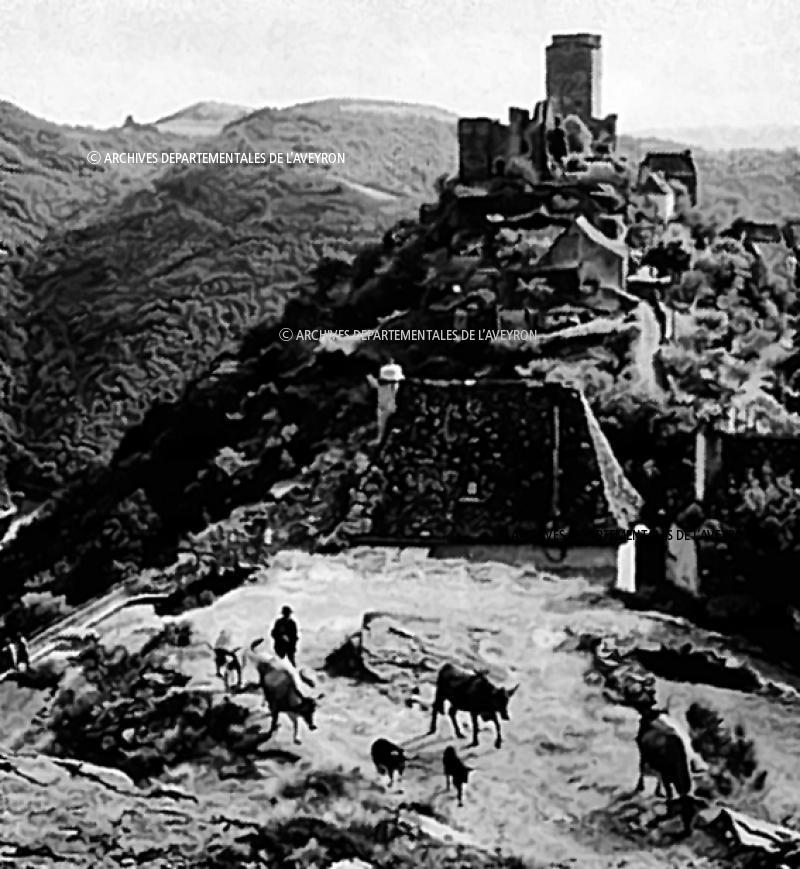 Troupeau de bovidés (vacada) devant éperon rocheux et château (castèl), à Valon