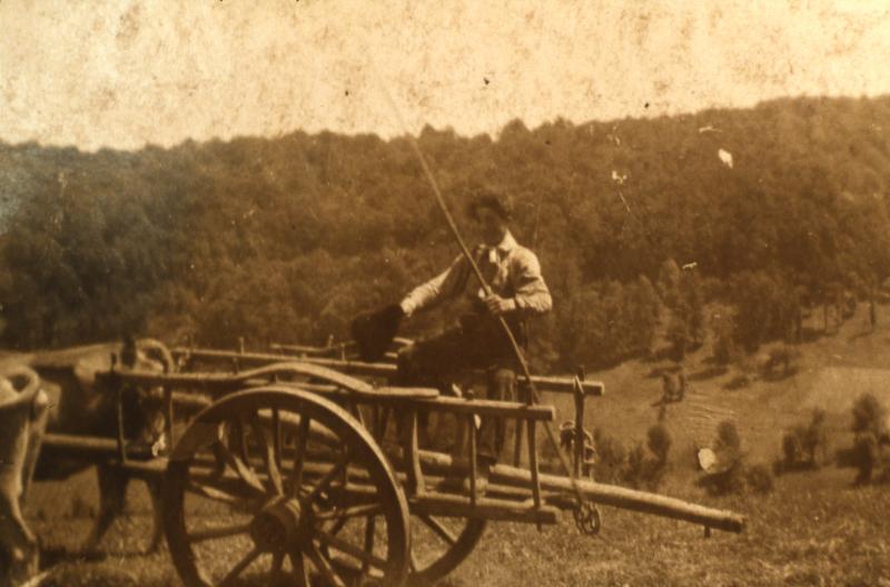 Homme sur un char (carri) vide attelé à une paire de bovidés (parelh), à Ladignac