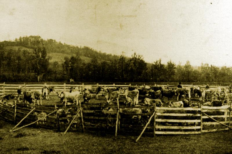 AVEYRON 1803. - Vacherie de Venzac, près le Mur-de-Barrez