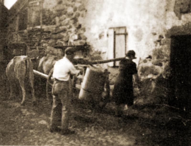 Transport à dos d'homme de la gerle (gèrla) vers un buron (masuc), paire de bovidés (parelh), montagne du Barrez (secteur de Mur de Barrez)