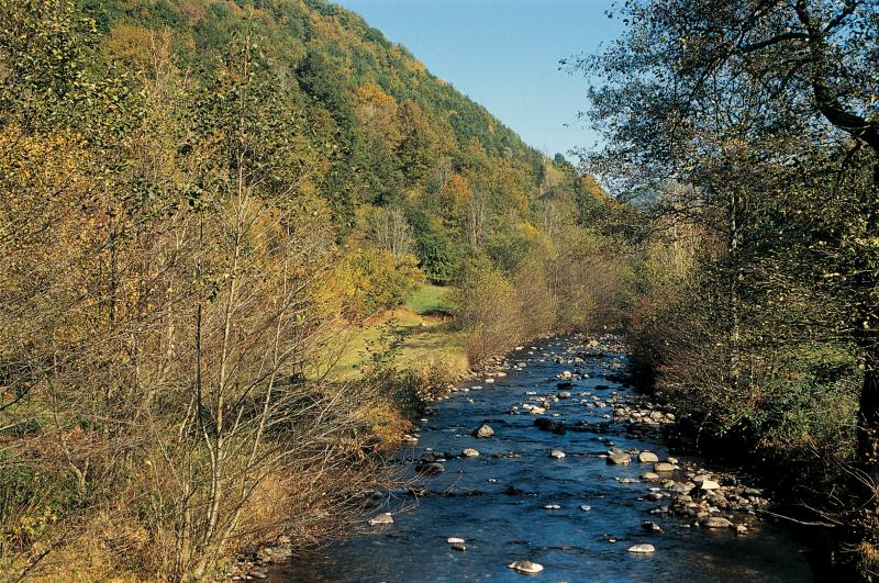  Vallée (valòia) et ruisseau (riu) du Goul, en Barrez (secteur de Mur de Barrez), novembre 1995