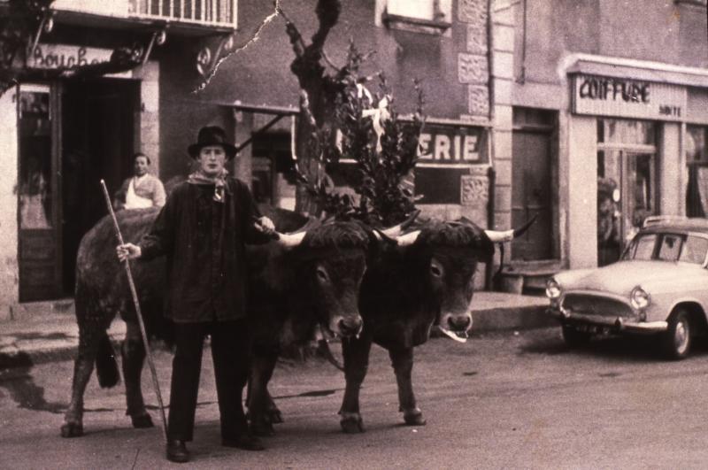  Temps de pause durant promenade d'une paire de bovidés (parelh) de Pâques décorés provenant de Condom d'Aubrac, à Saint-Côme d'Olt, dimanche de Rameaux 1974