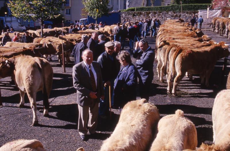 Elu (elegit) et villageois (vilatjors) sur le foirail (fièiral) des bovidés un jour de foire (fièira), octobre 1997