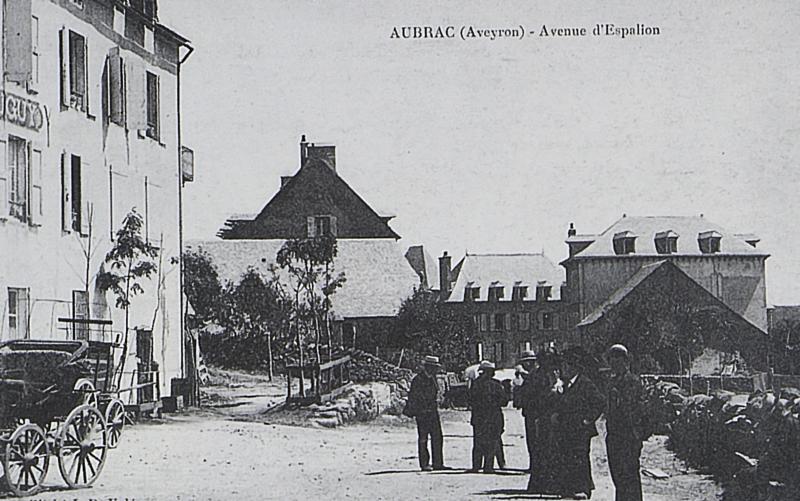 AUBRAC (Aveyron) - Avenue d'Espalion