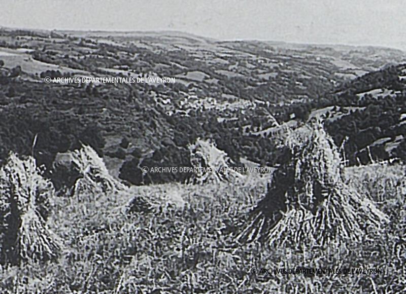  Croisillons (crosèls) de gerbes (garbas), à Aubrac, 8 août 1966