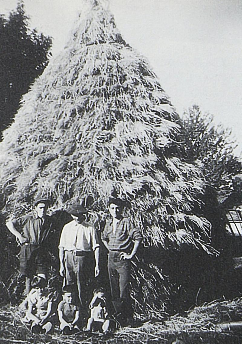 Famille Gasq devant un gerbier (plonjon), 1954