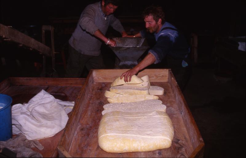 Buronniers (pastre et rol) brisant ou fraisant la tome dans le buron (masuc), à Camejane, octobre 1997