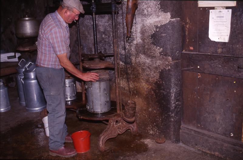 Buronnier (cantalés) mettant sous presse une fourme de fromage (forma) dans le buron (masuc), à Camejane, octobre 1997