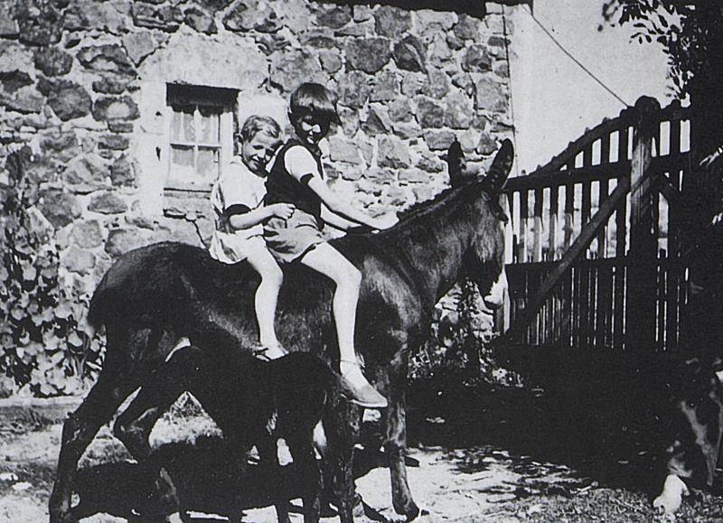 Deux garçons juchés sur une ânesse (sauma) avec son ânon (asenon), à La Bastide d'Aubrac, 1948-1949