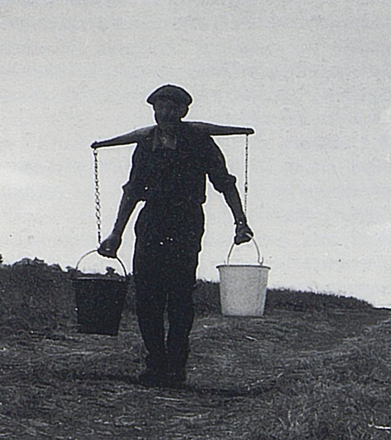 Buronnier (montanhièr) livrant, avec un joug d'épaule (corcha) le petit-lait (gaspa, mèrgue) aux cochons (pòrcs, tessons), au Rigambal Haut, 1974