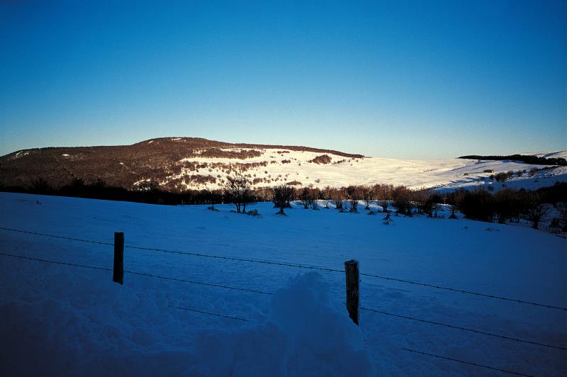  Sommets (trucas) d'Aubrac sous la neige (nèu), en Aubrac (secteur de Saint-Chély d'Aubrac), février 1998