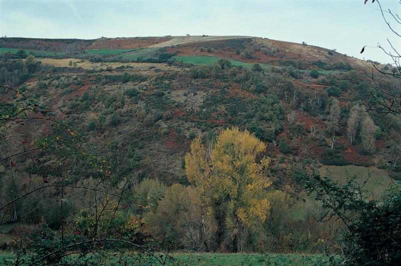 Versant (travèrs) de colline en friche, secteur de Belmont sur Rance, novembre 1999
