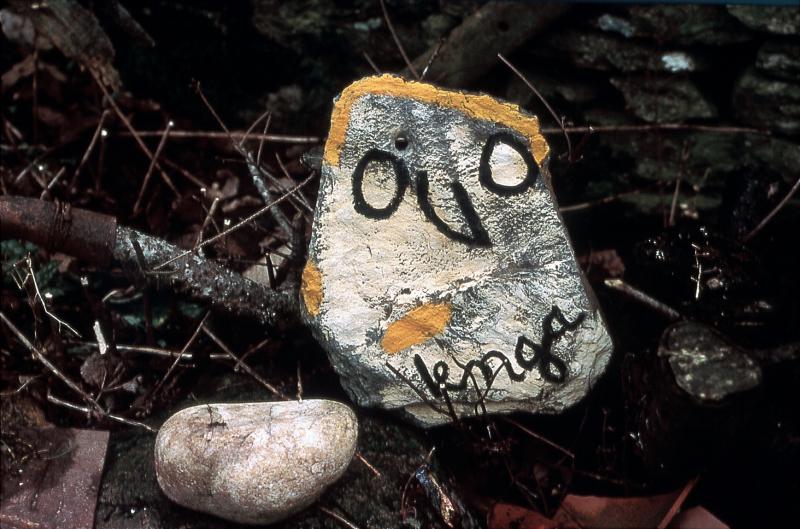  Œuvre d'art contemporain de Jacme Privat avec inscription en occitan : Lenga, en Ségala (secteur de Baraqueville-Sauveterre), février 1998