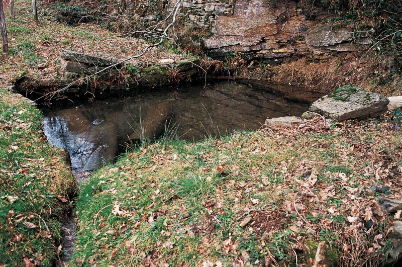 Bassin (pesquièr) aménagé pour l'irrigation des prairies (pradas, prats), janvier 1998