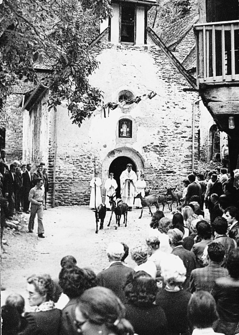 Bénédiction de caprinés (cabras) pour la Saint-Roch, à Montarnal, 1974-1975