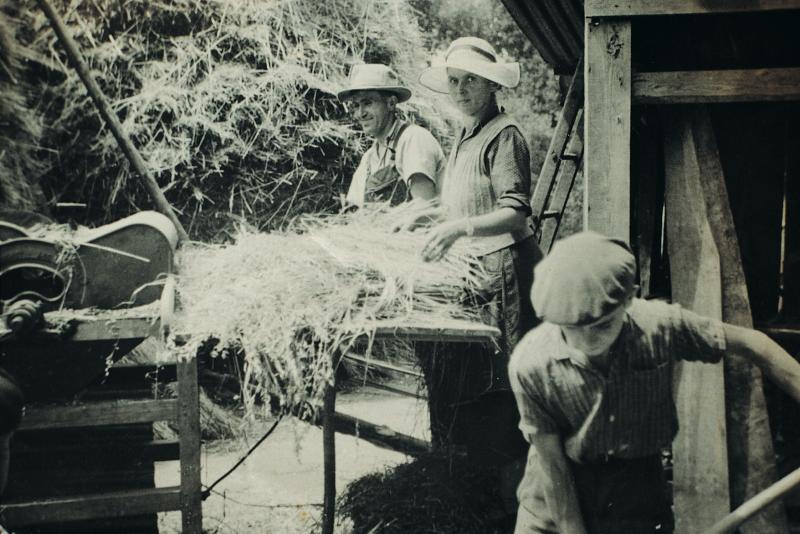 Dépiquage (escodre) mécanisé au croque-paille (cròcapalha), secteur de Campagnac, août 1959