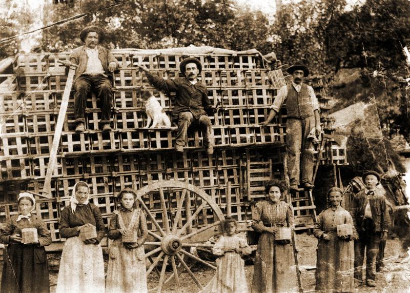 Temps de pause durant chargement sur un char (carri) attelé à un équidé de cageots (gagets) fabriqués par la famille Blanc, à La Resse de Cusses, 1914