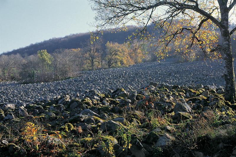 Eboulis basaltique appelé Clapàs de Tubièrs, à Roquelaure, novembre 1993