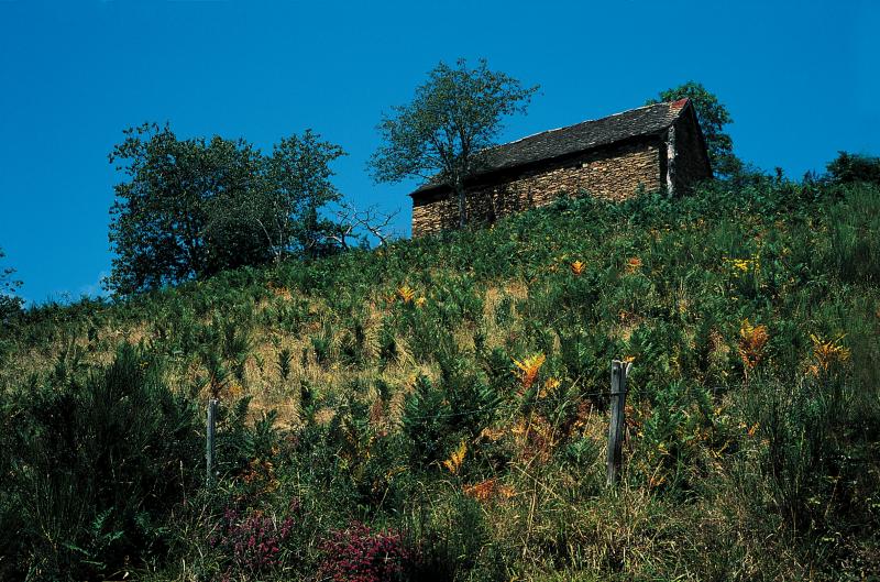 Petite grange au sommet d'un versant (travèrs) recouvert e fougères (falguièiras) et de bruyères (burgas), août 1995