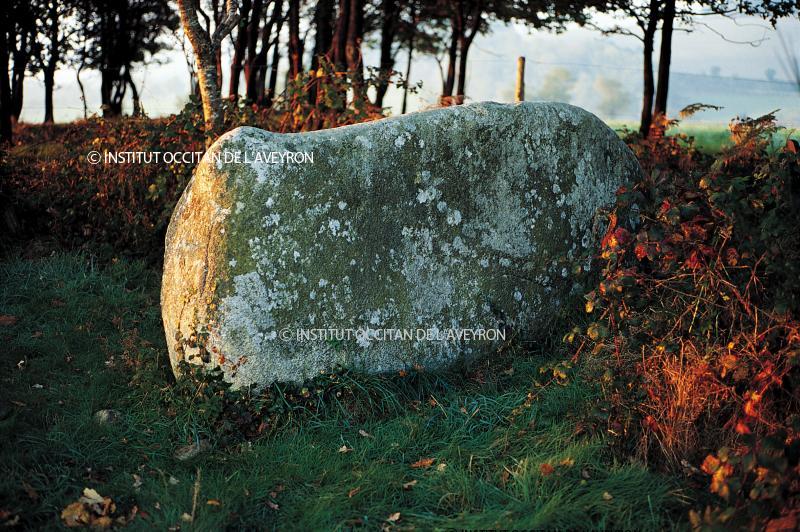  Elément d'un mégalithe appelé Cheval du Roi (Chaval del Rei), au Puech de Flauzins, octobre 1994
