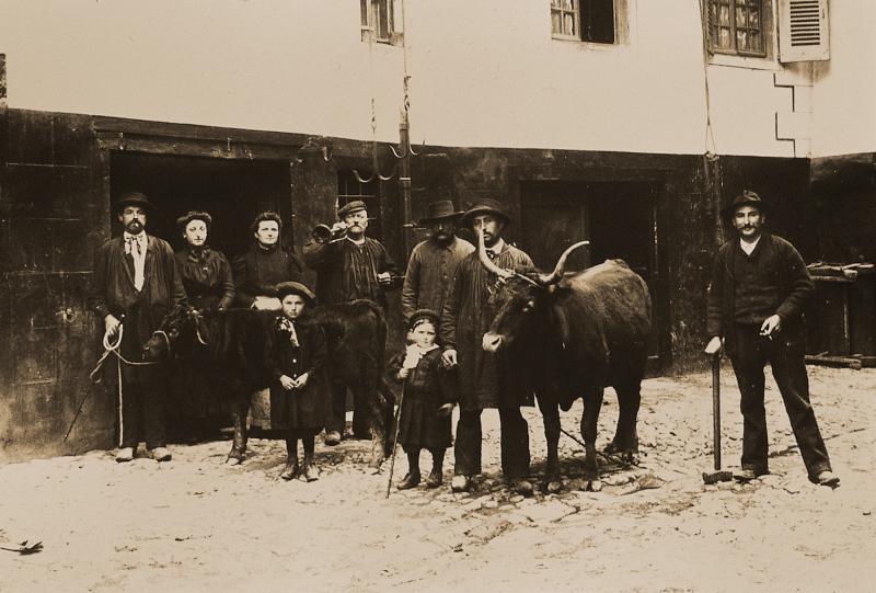  Personnes, sonneur de trompe (trompetaire), veau (vedèl) et bovidé de race salers devant un abattoir (masèl), rue Cornebariols