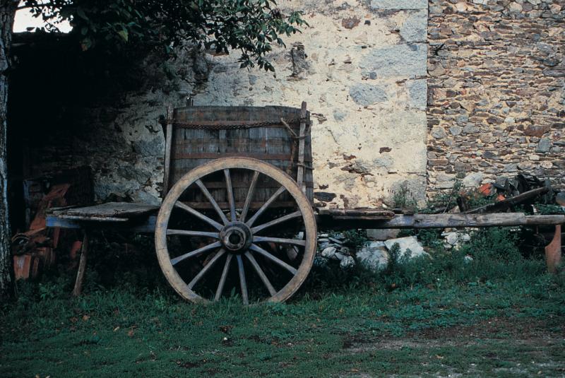 Cuve ovale (cornut, folièira) placée sur un char (carri) pour le transport de la vendange (vendémia, vendenha)