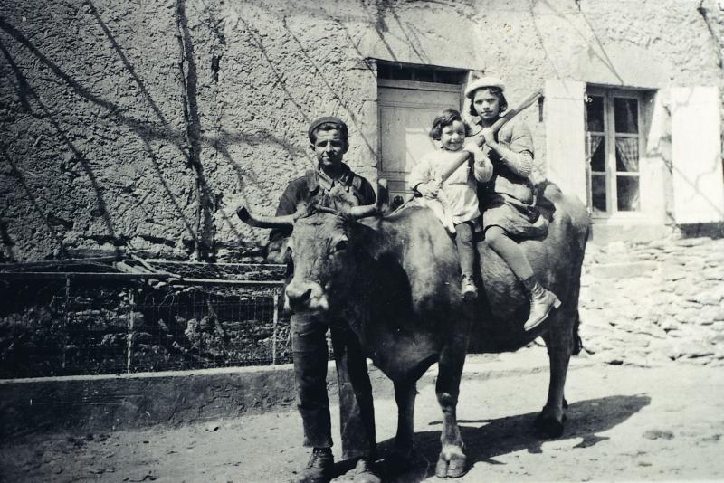 Homme à terre et deux enfants à califourchon sur un bovidé, septembre 1941