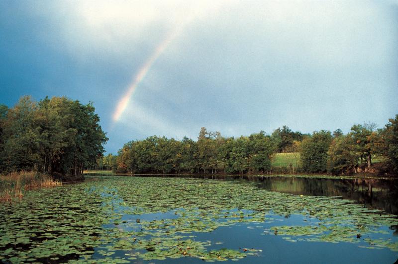 Arc en ciel (arcana) sur étang (estanh) recouvert de nénuphars, novembre 1990