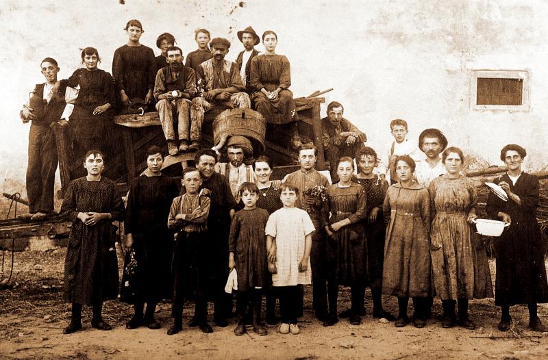 Equipe de vendangeurs (còla de vendémiaires), à Fréjorgues de Mauguio (34), 6 septembre 1921