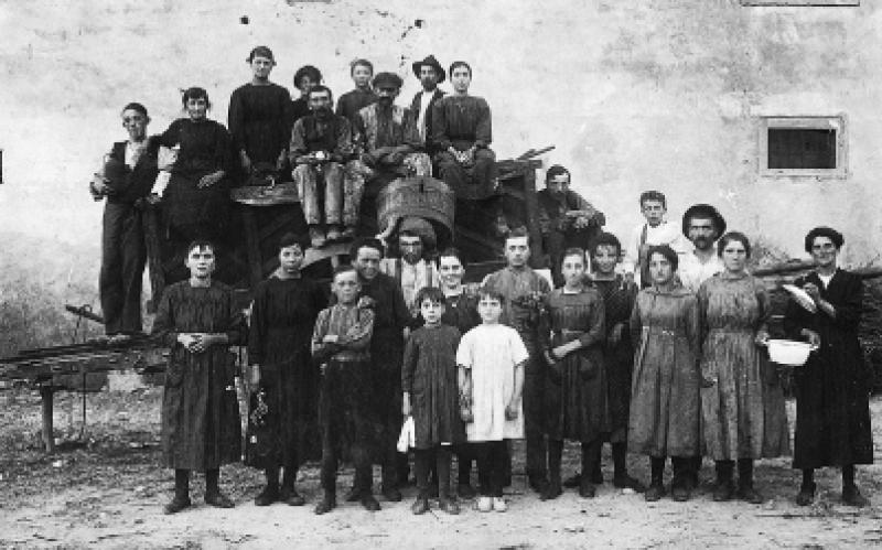  Equipe de vendangeurs (còla de vendémiaires), à Fréjorgues de Mauguio (34), 6 septembre 1921