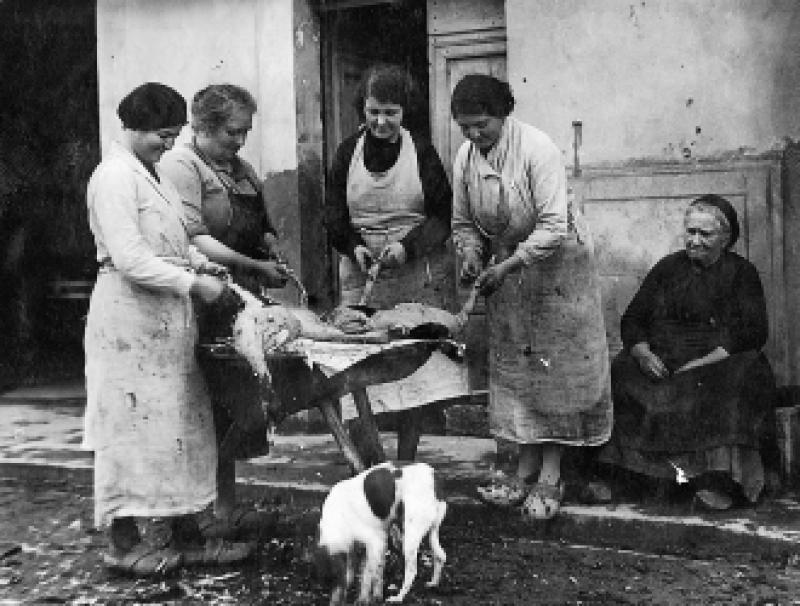 Quatre femmes plumant des canards (guits, rits), à Aygou, commune de Saint-Cirgue (81) [?], 1933