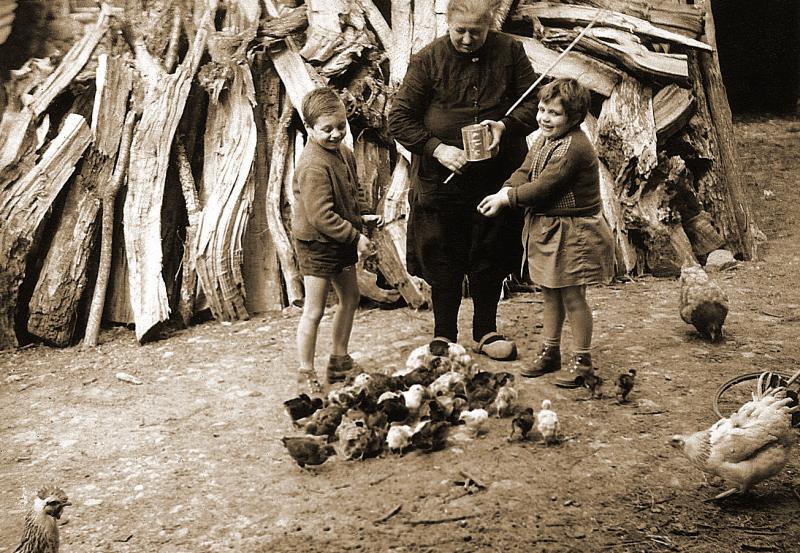 Deux enfants et une femme donnant à manger (apasturar) à des poussins (cotins, polsins) devant du bois de chauffage (lenha), au Rieu, été 1959