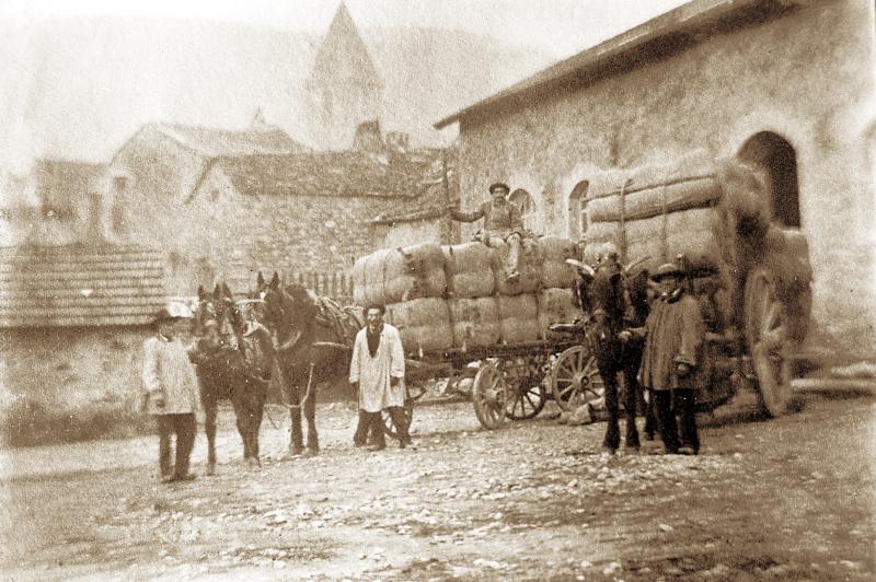 Temps de pause devant équidés attelés à des chars (carris) chargés de ballots de laine (lana), à Lapeyre, vers 1900
