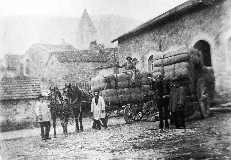Temps de pause devant équidés attelés à des chars (carris) chargés de ballots de laine (lana), à Lapeyre, vers 1900